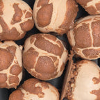 Freeze Dried Double Decker Bites